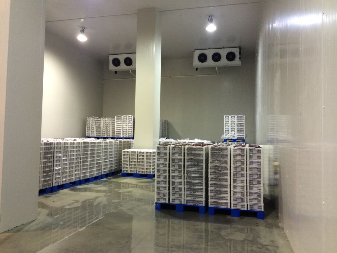 5000平米生鮮食品物流冷庫（低溫倉儲）建設(shè)成本需要多少錢