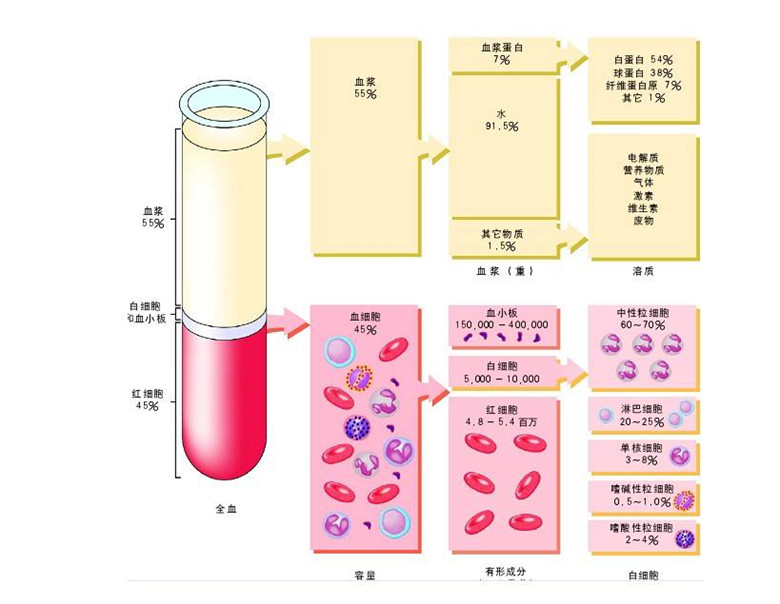 -30℃～-80℃血漿蛋白低溫冷凍庫規范，冷庫安裝價格