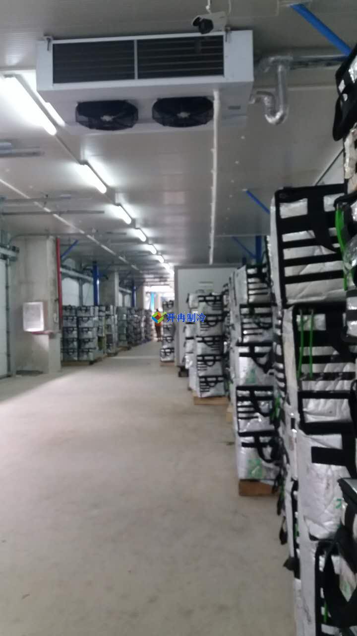 豬肉加工車間冷凍庫建設(shè),排酸冷庫設(shè)計規(guī)劃方案
